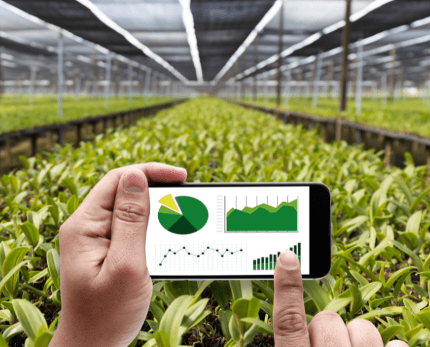 Report Highlights the Role of Mobile Technology in Agriculture