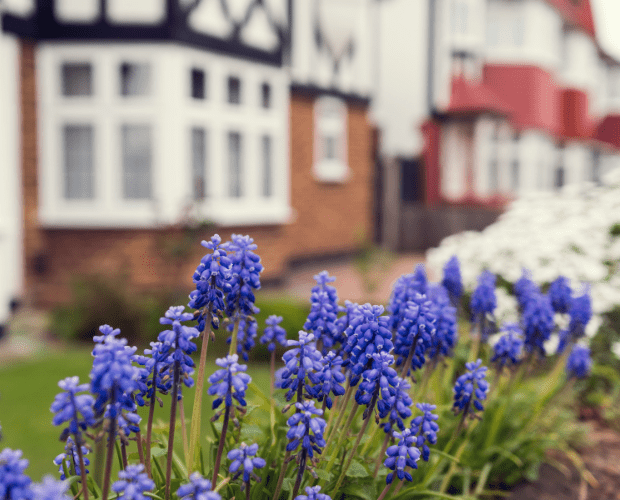 No Short Cuts To Neighbourhood Recovery