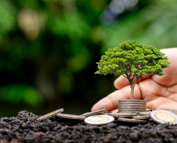 House of Lords debate Rural Economy
